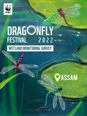 Dragonfly festival 2022: Wetland Biomonitoring Survey Assam