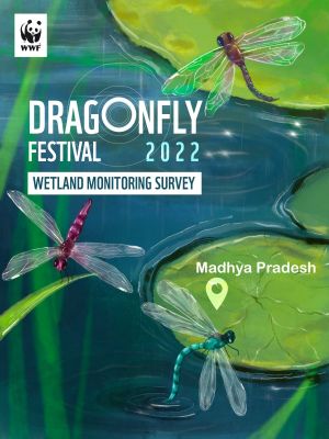 DRAGONFLY FESTIVAL WETLAND MONITORING PROJECT - Madhya Pradesh