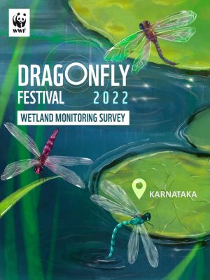 DRAGONFLY FESTIVAL WETLAND MONITORING - KARNATAKA