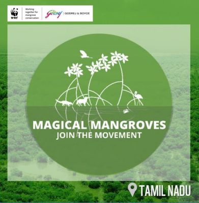 Magical Mangroves - Join the Movement 2022-23