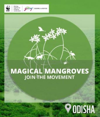 Magical Mangroves - Join the Movement 2022-23