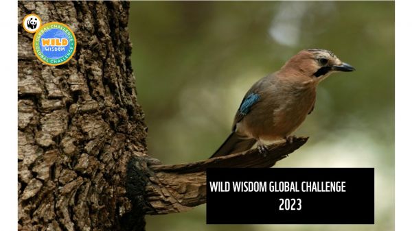 Marketing & Promotion for Wild Wisdom Global Challenge 2023-DELHI