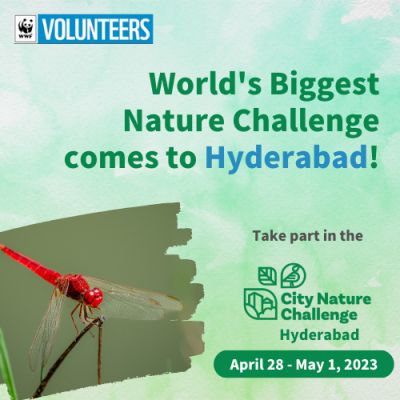 City Nature Challenge Hyderabad