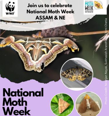 National Moth Week 2023 - Assam & North East India