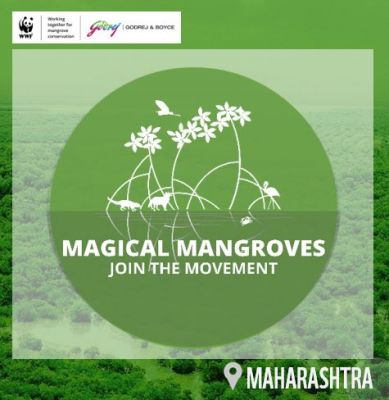 Magical Mangroves - Join the Movement 2023-24