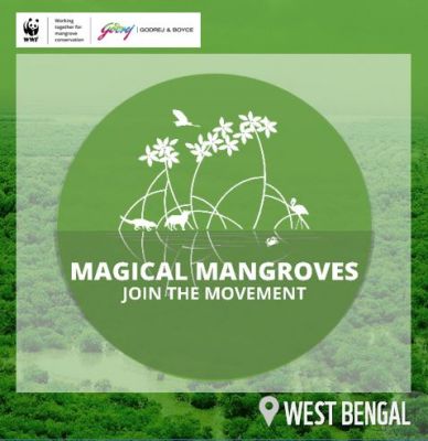 Magical Mangroves - Join the Movement 2023-24