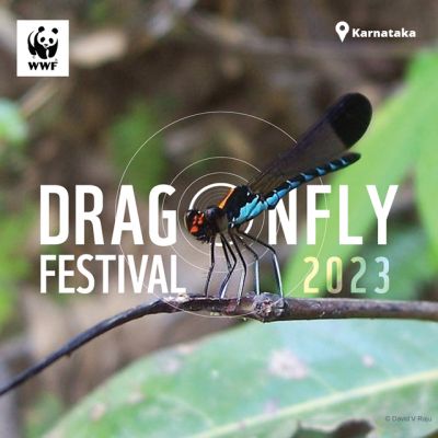 Dragonfly festival 2023: Wetland Biomonitoring Survey 