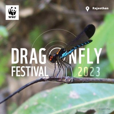 Dragonfly festival 2023: Wetland Biomonitoring Survey - Rajasthan
