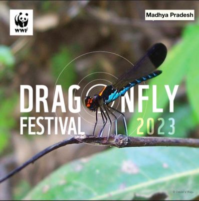 Dragonfly Festival 2023: Wetland Biomonitoring Survey Madhya Pradesh
