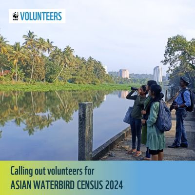 Asian Water Bird Census 2024 in Thiruvananthapuram District of Kerala