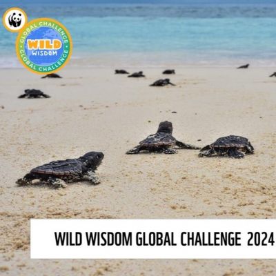 Classroom Challenge - WWGC 2024 - Delhi