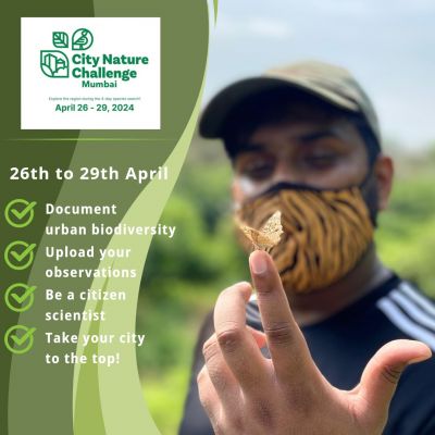 City Nature Challenge 2024- Mumbai- Call for Champions
