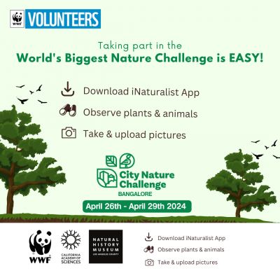 City Nature Challenge - Bangalore