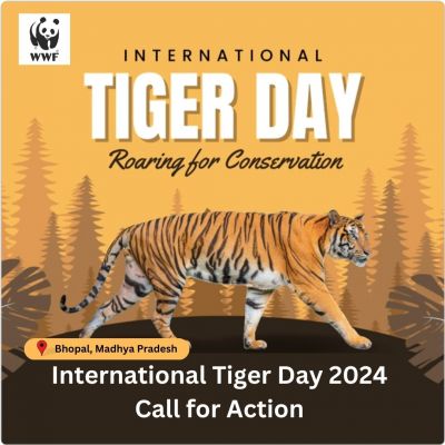Global Tiger Day 2024 - Madhya Pradesh & Chhattisgarh