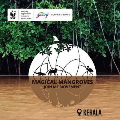 Magical Mangroves Kerala - Join the Movement 2024-25