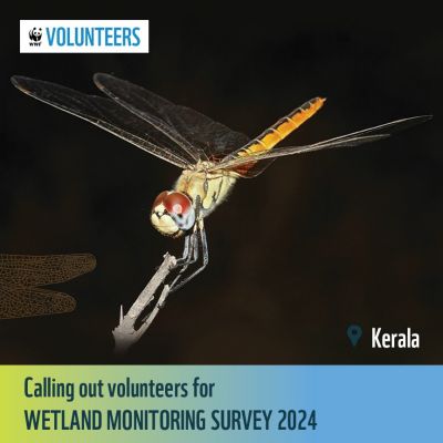 Dragonfly Festival 2024: Wetland Monitoring Survey - Kerala