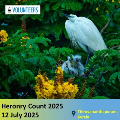 Heronry Count 2025 in Thiruvananthapuram District