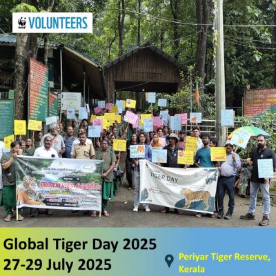 Global Tiger Day 2025