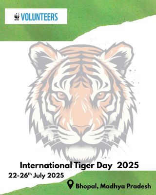 Celebrating Global Tiger Day