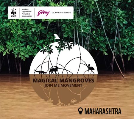 Magical Mangroves- Join the Movement 2025-26