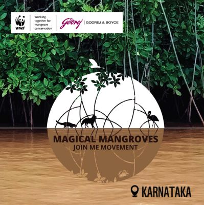 Magical Mangroves - Join the Movement 2025-26