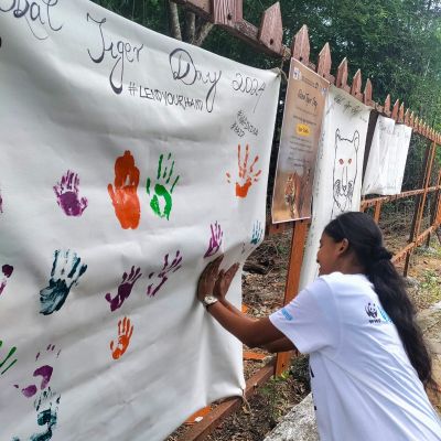 Celebrating Global Tiger Day- Chennai