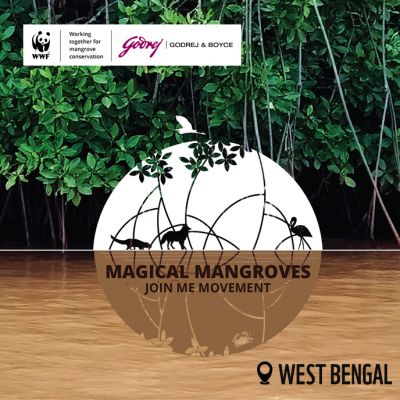 Magical Mangroves - Join the Movement 2025-26