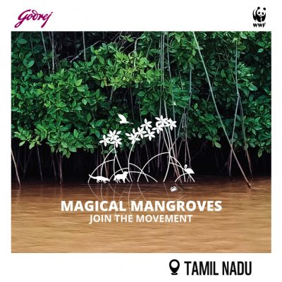 Magical Mangroves - Join the Movement 2025-26
