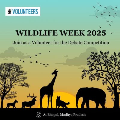 Celebrating Wildlife Week 2025