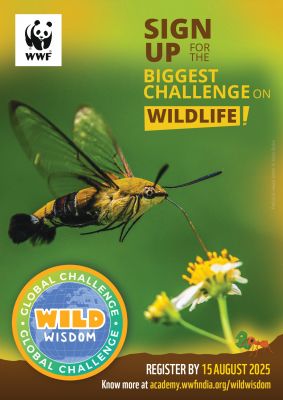 Wild Wisdom Global Challenge Madhya Pradesh Finale Volunteering Opportunity