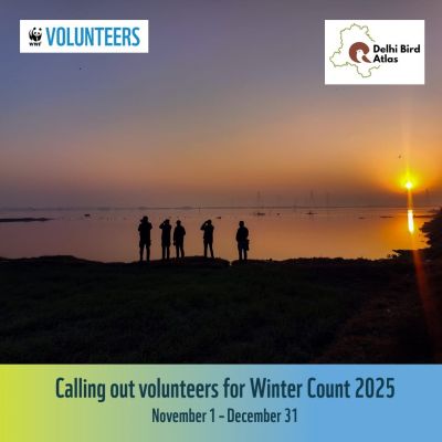 Delhi Bird Atlas – Winter Count 2025