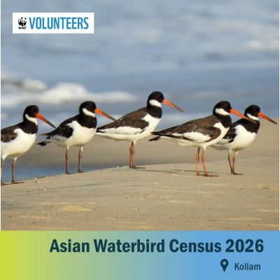 Asian Waterbird Census 2026 Kollam, Kerala
