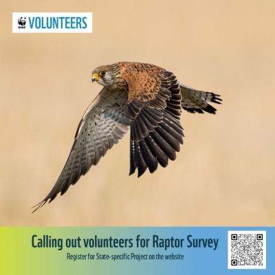 Raptor Conservation Programme - Madhya Pradesh
