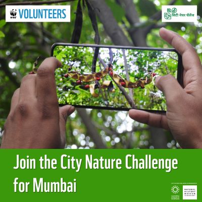 City Nature Challenge 2026 – Mumbai