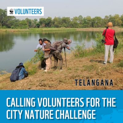 City Nature Challenge 2026 – Telangana