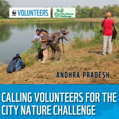 City Nature Challenge 2026 – Andhra Pradesh