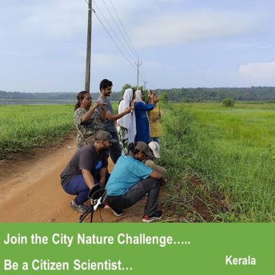City Nature Challenge - Kerala
