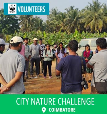 City Nature Challenge 2026 – Coimbatore