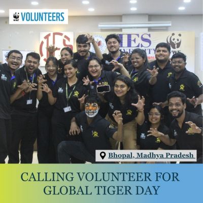 Celebrating Global Tiger Day - Madhya Pradesh 2026 