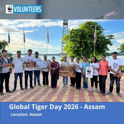 Global Tiger Day 2026 Assam