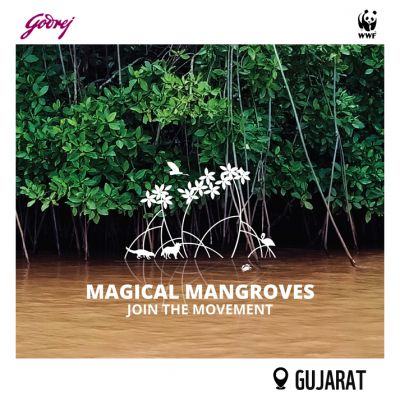 Magical Mangroves - Join the Movement 2026-27