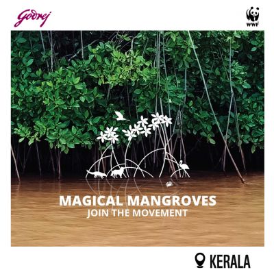 Magical Mangroves - Join the Movement 2026-27