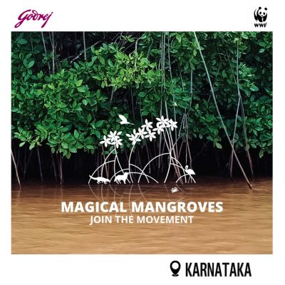 Magical Mangroves - Join the Movement 2026-27