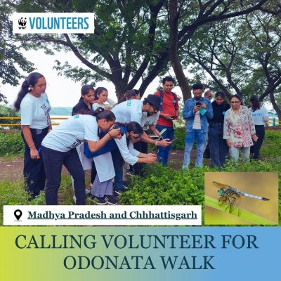 Odonata Walk in MP and CG