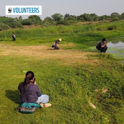 Monsoon Biodiversity Survey at Asita East DDA Park - Delhi
