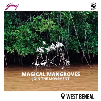 Magical Mangroves - Join the Movement 2026-27